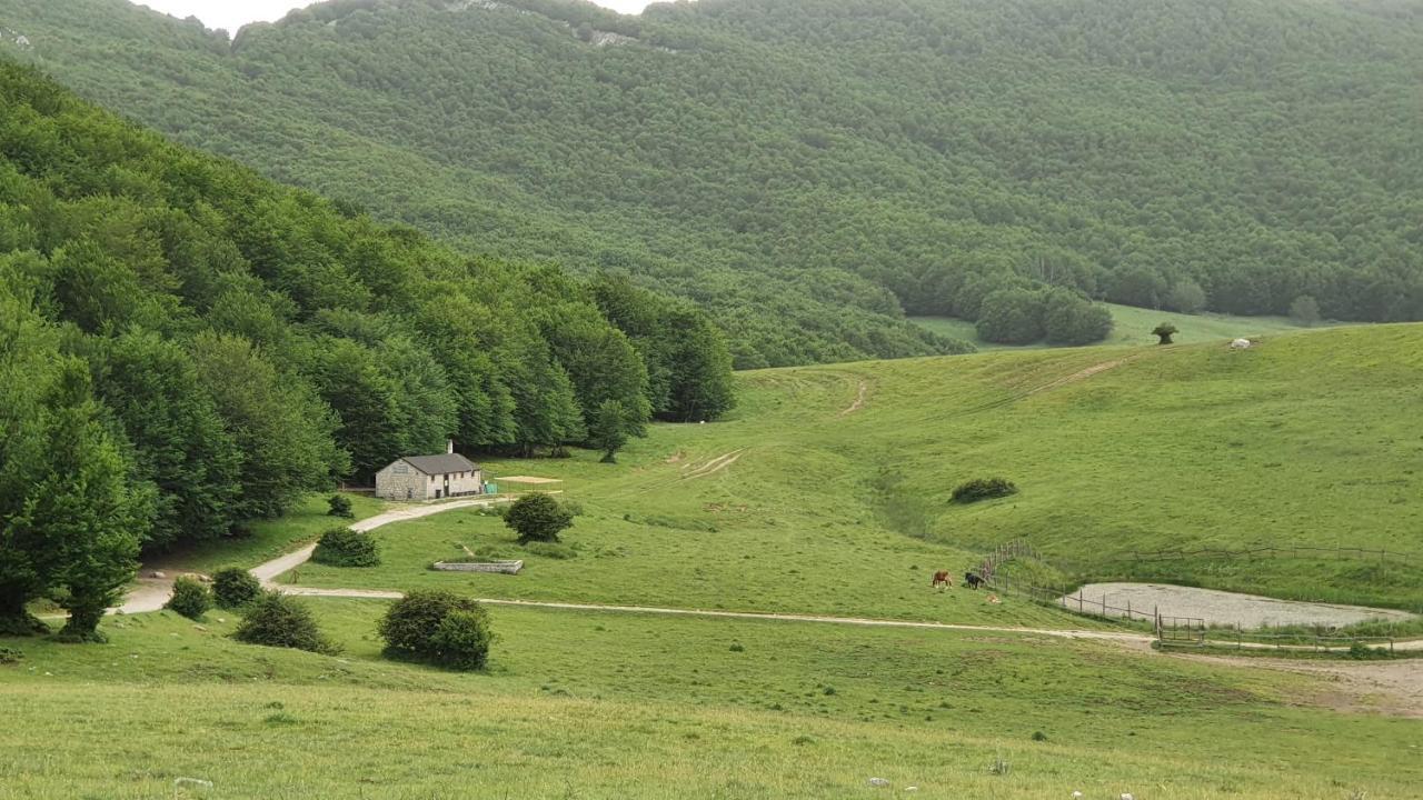 Casa Ciuffina Bed & Breakfast Civitella Casanova Luaran gambar